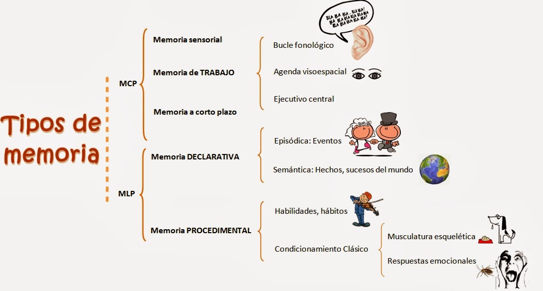 La Memoria Humana Educa Panam Mi Portal Educativo